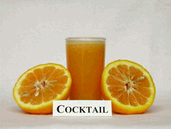 ‘鸡尾’柚 Citrus grandis 'Cocktail'